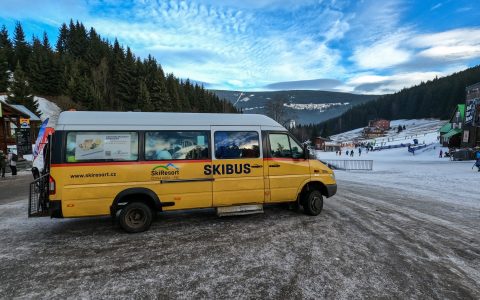 Skibus Pec pod Sněžkou javor zluty